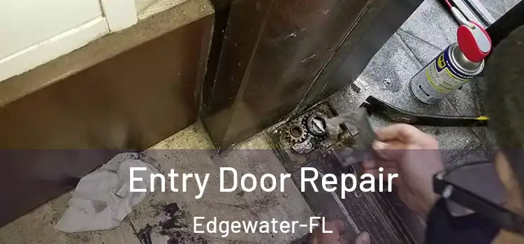  Entry Door Repair Edgewater-FL