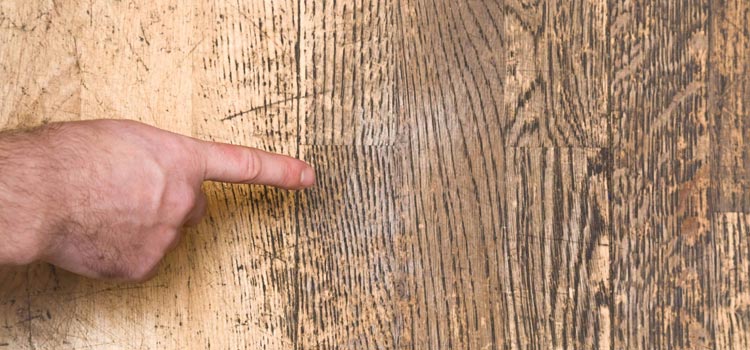 Wood Door Scratch Repair in Edgewater
